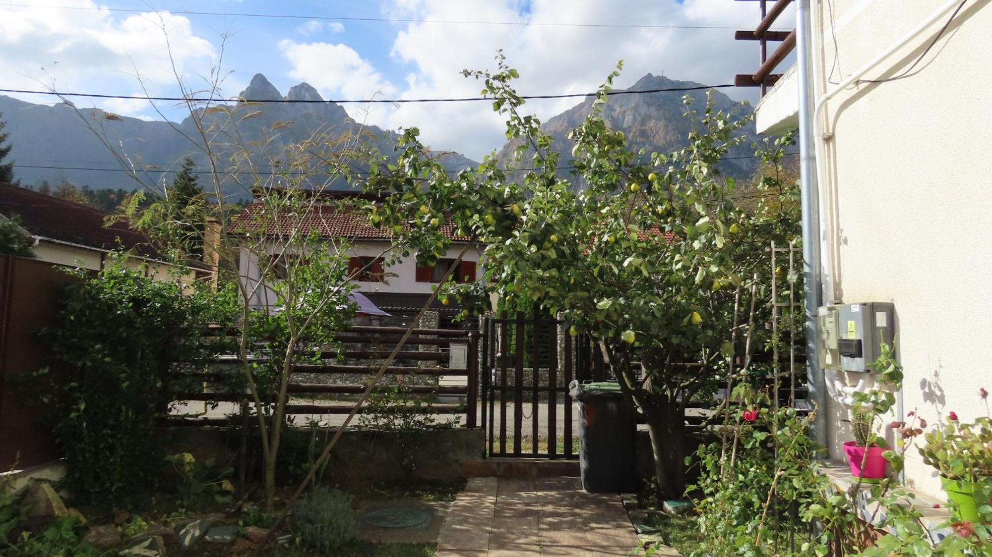 Vila Nik Busteni Exterior photo
